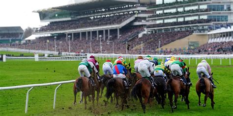 cheltenham festival betting